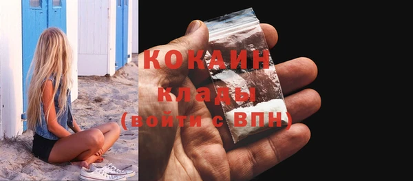 шишки Инта