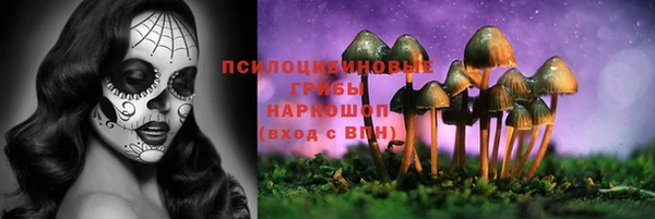 шишки Инта