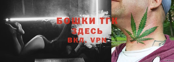mdpv Инсар