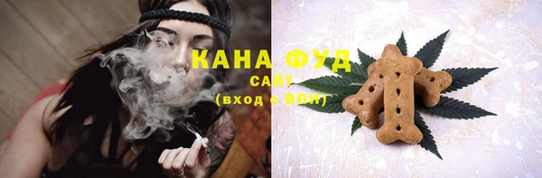 шишки Инта