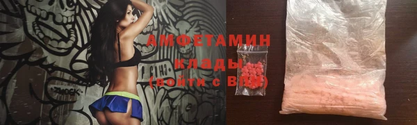шишки Инта