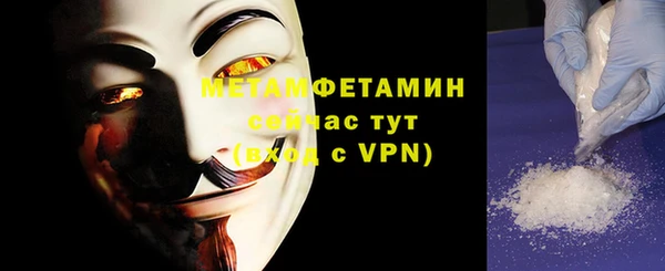 шишки Инта