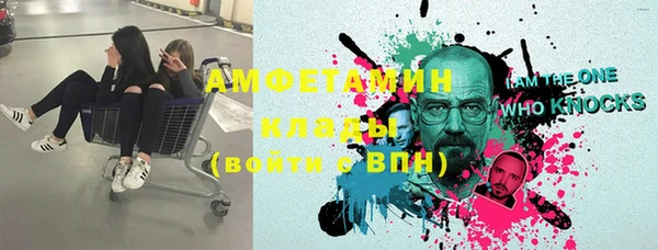 шишки Инта