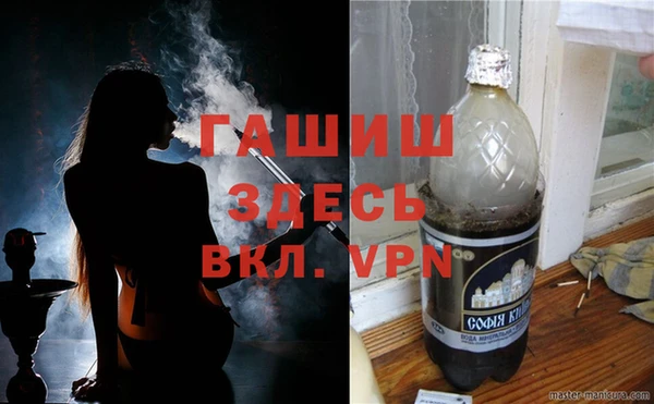 стаф Зерноград