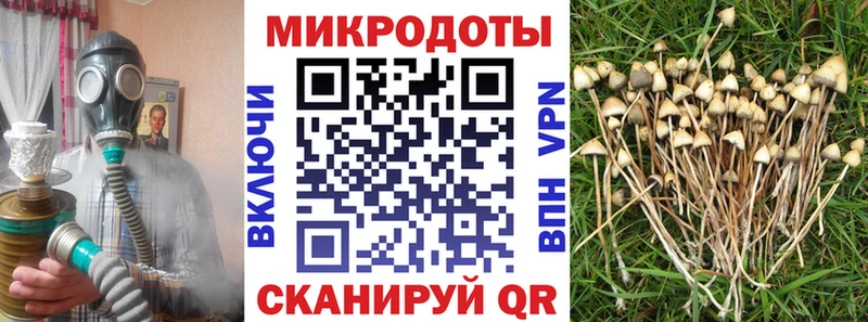 Галлюциногенные грибы MAGIC MUSHROOMS Купить Топки